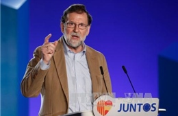 Cử tri Tây Ban Nha ủng hộ tổng tuyển cử sớm 